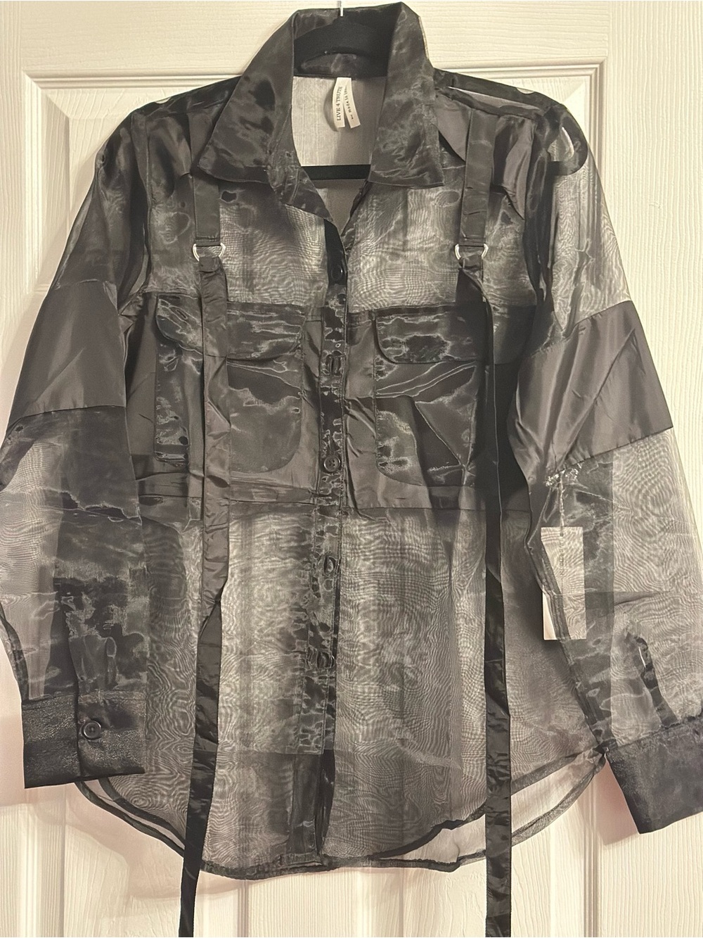 Sheer Live 4 Truth Shirt